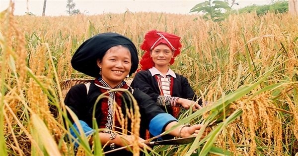 Việt Nam - quốc gia duy nhất ở châu Á thực hiện giảm nghèo đa chiều